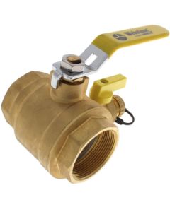 2" Threaded Pro-Pal Full Port Ball Valve w/ Hose Drain