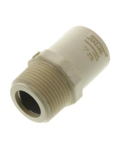 1/2" CTS CPVC Male Adapter (Brass MIPT x Socket)