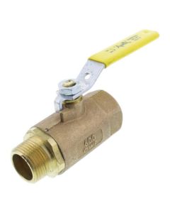 1" FNPT x MNPT 2 Piece Standard Ball Valve
