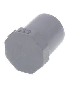 1/2" CPVC Schedule 80 Plug (Spigot)
