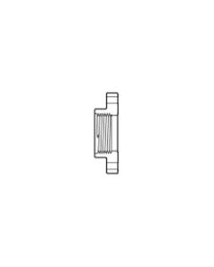 1/2" CPVC Schedule 80 One-Piece Flange (FPT)