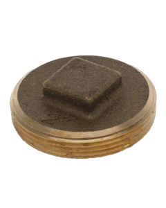 2" Brass Raised Head Cleanout Plug