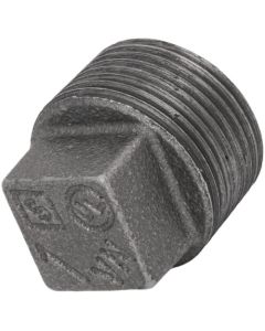 1" Black Plug