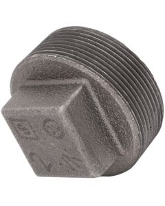 2" Black Plug