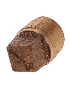 1/4" Brass Sq Head Plug (Lead Free)