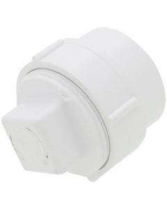 2" PVC DWV Fitting Cleanout Adapter w/ Plug