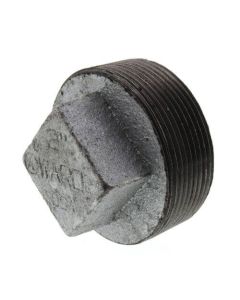 2-1/2" Galv Regular Cored Plug