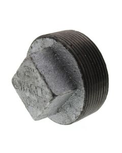 2" Galv Regular Cored Plug