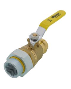 1" FIP Union x Press Pro-Pal Dielectric Union Ball Valve (Lead Free)