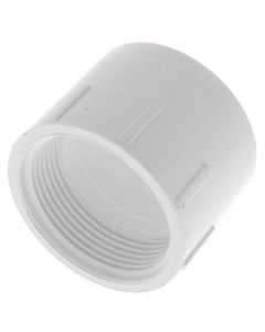 1-1/2" PVC DWV Female Adapter