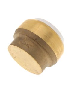 1" SharkBite PVC Cap