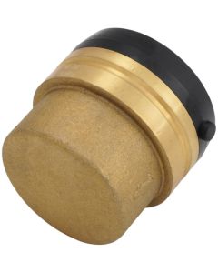 2" SharkBite End Cap
